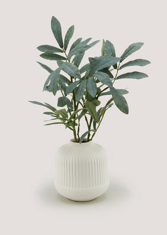 Olive Branch in Cream Ribbed Vase (38cm x 9cm) M697837