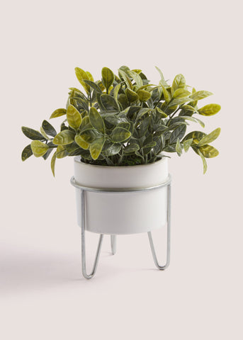 White Eucalyptus Silver Stand Pot (23cm) M698027