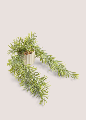 Trailing Plant in Natural Pot Green M698126