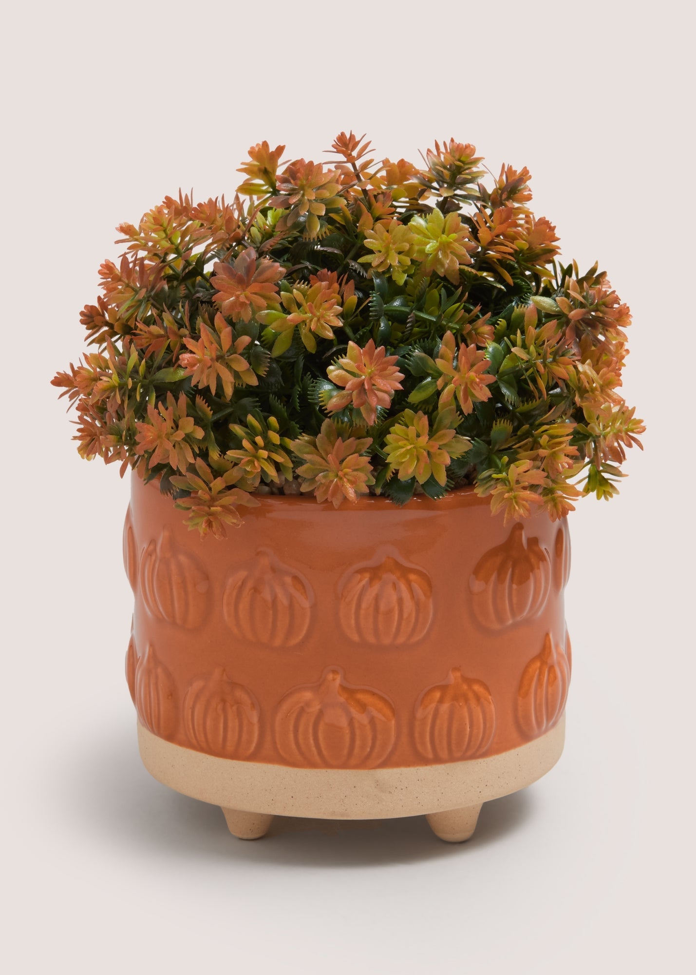 Orange Plant In Pumpkin Embossed Pot M698535