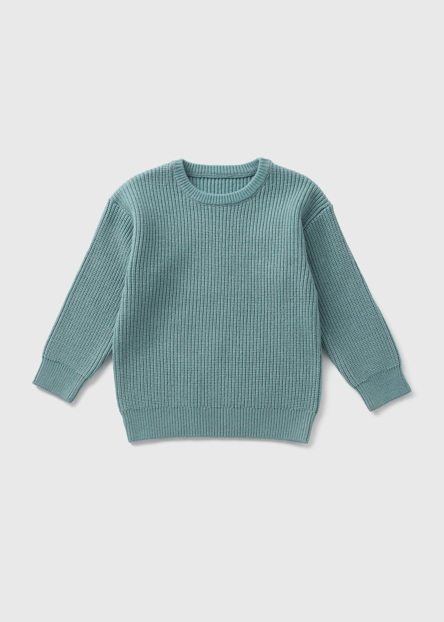 Boys Teal Crew Neck Ribbed Jumper ( 1-7 Years )  B369194