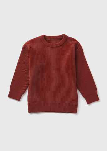 Boys Rust Knitted Jumper (1-7yrs)  B369197