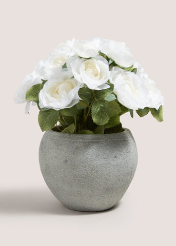 White Roses In Cement Pot Grey M698717