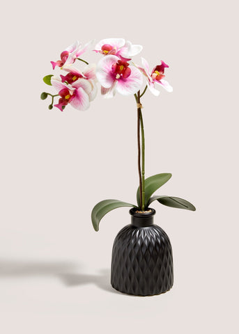 Pink Orchid In Black Pot M698740