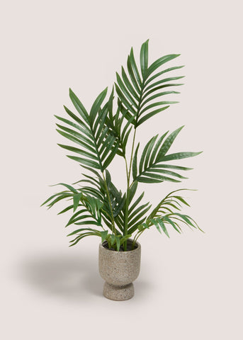 PALM ROUNDED POT PLANT M698744