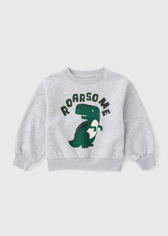 Boys Grey Dino Sweatshirt (1-7yrs)  B369270