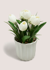 TULIP IN SCALLOP VASE M698938