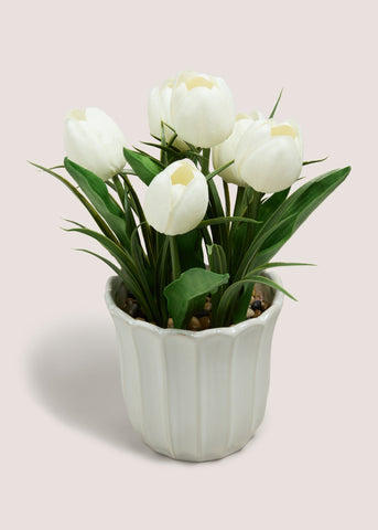 TULIP IN SCALLOP VASE M698938