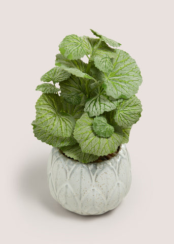 HERB IN ARTICHOKE POT M698995