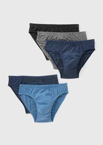 5 Pack Blue Briefs  M496037