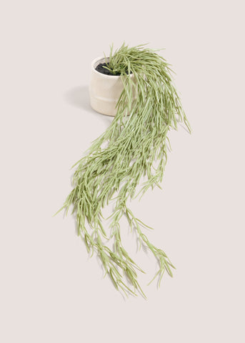 Cabana Trailing Plant Green M699038