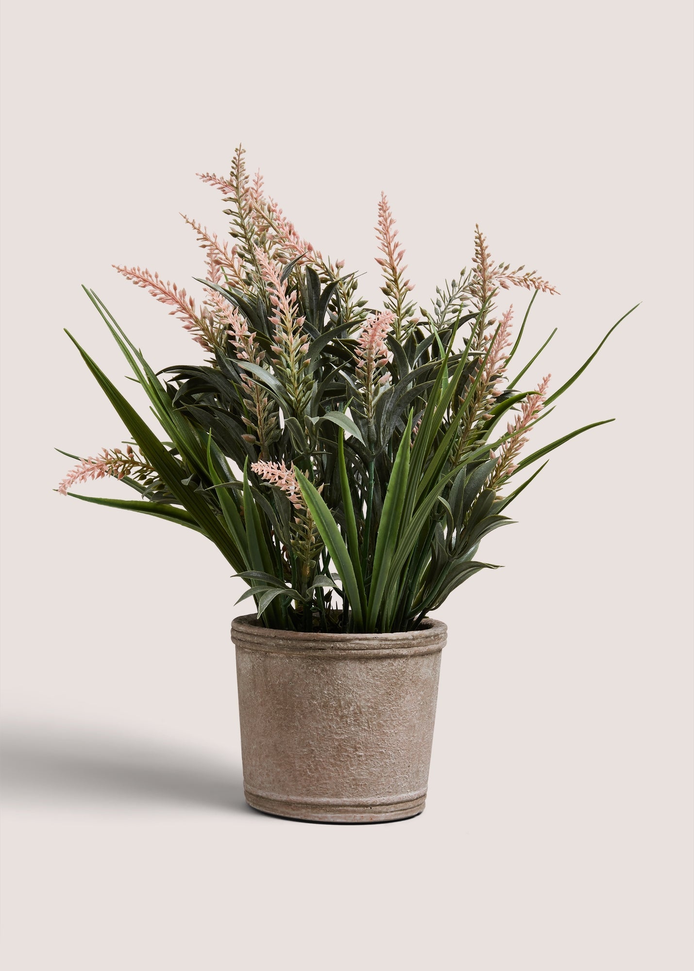 Pink Lavender In Cement Pot M699212