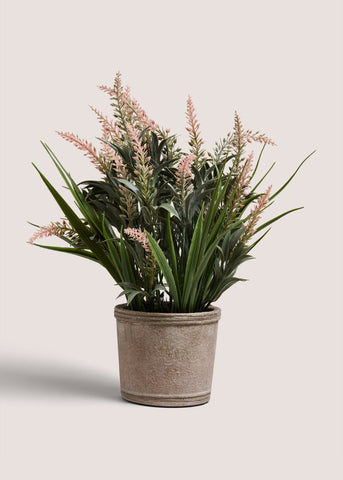 Pink Lavender In Cement Pot M699212