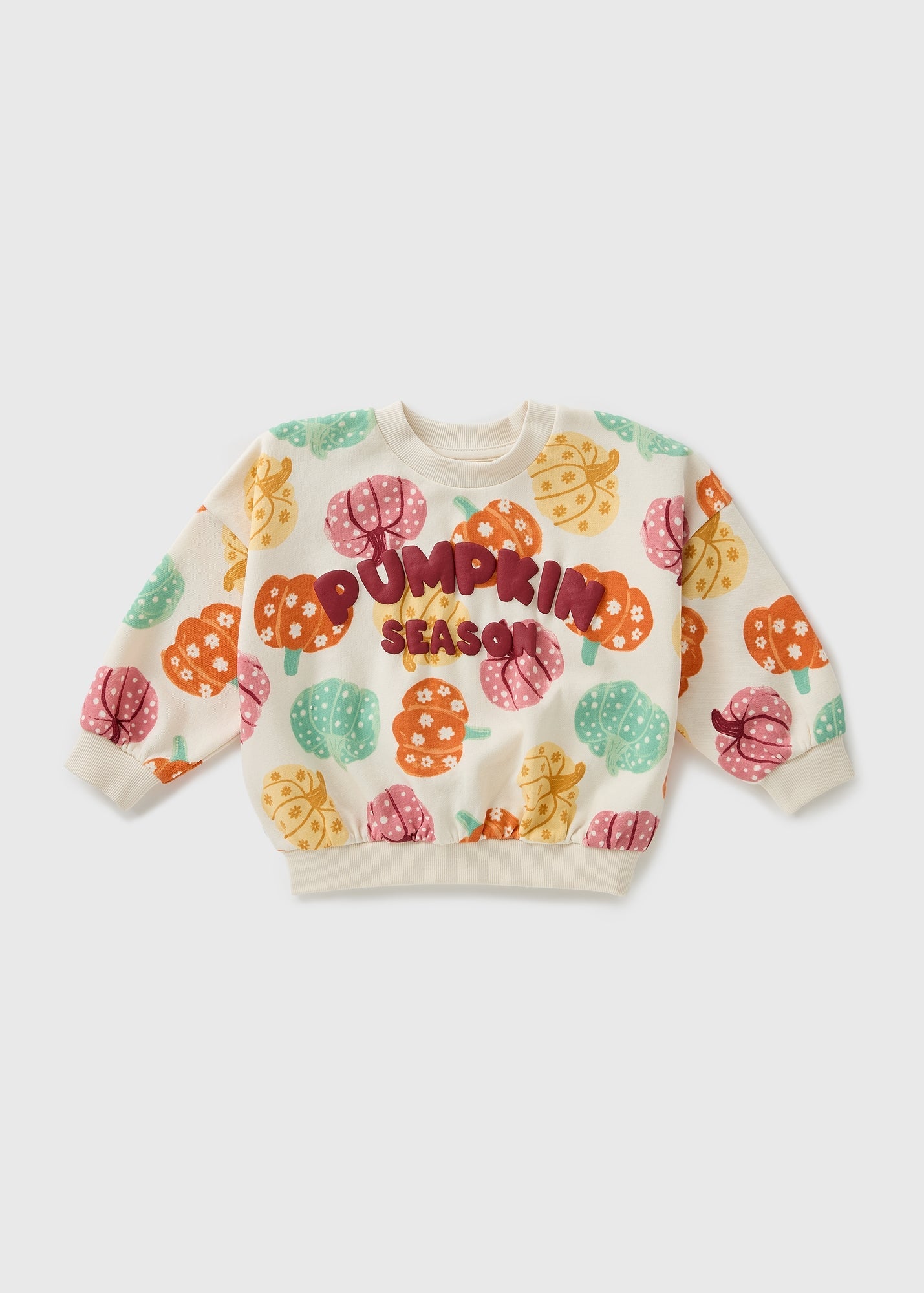 Girls Multicolour Pumpkin Print Sweathirt (1-7yrs) C252539