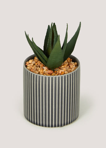 Mini Aloe in Grey Pot (18cm x 9.5cm) M697683